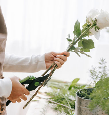 Sydney Floristry training college flower school